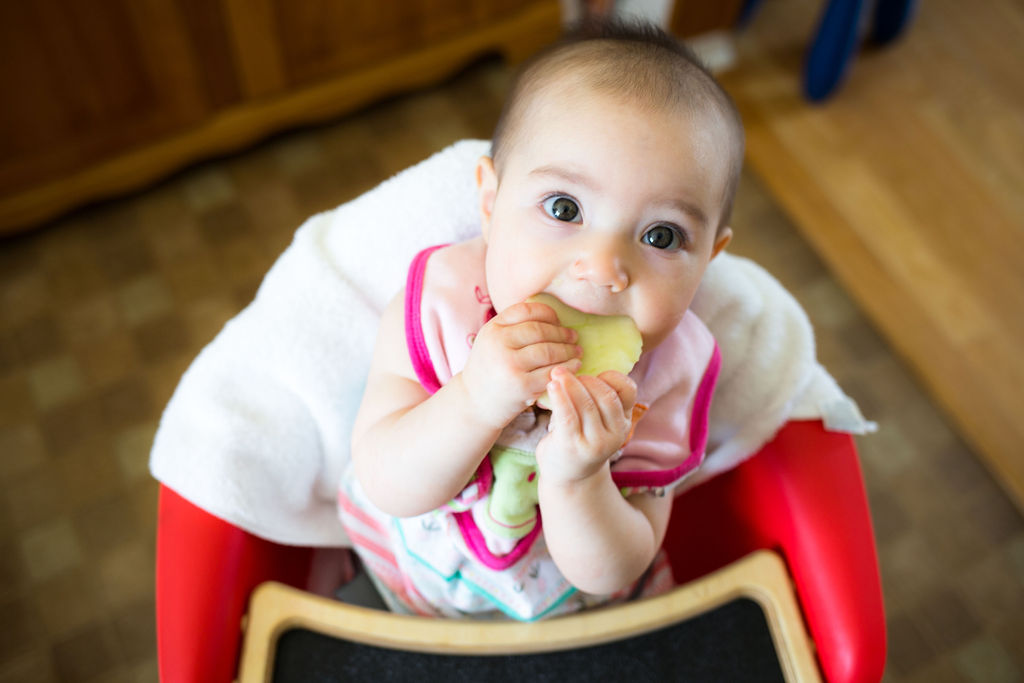 Introduction des aliments solides